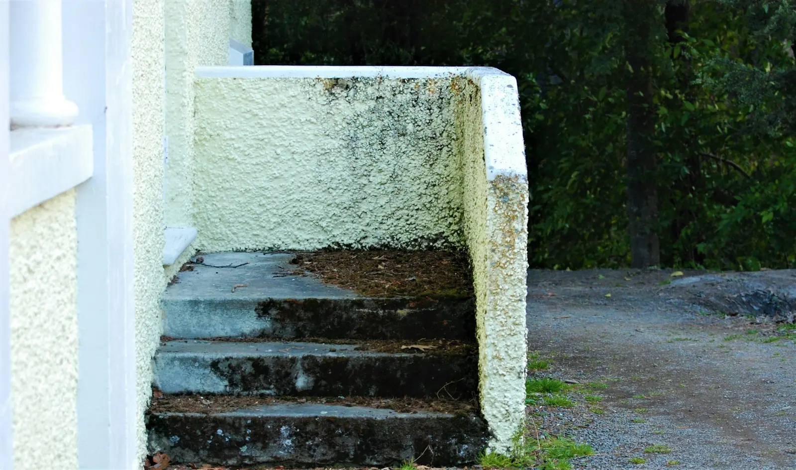 Concrete Steps & Porches project example for Troy, MI homeowners